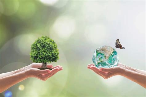  Eco: Chinh Phục Thiên Nhiên Trong Một Thế Giới Bền Vững!