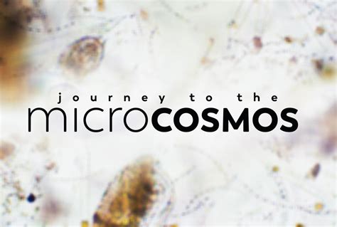 Journey to the Microcosmos - An Educational Adventure That Unravels the Mysteries of Life!